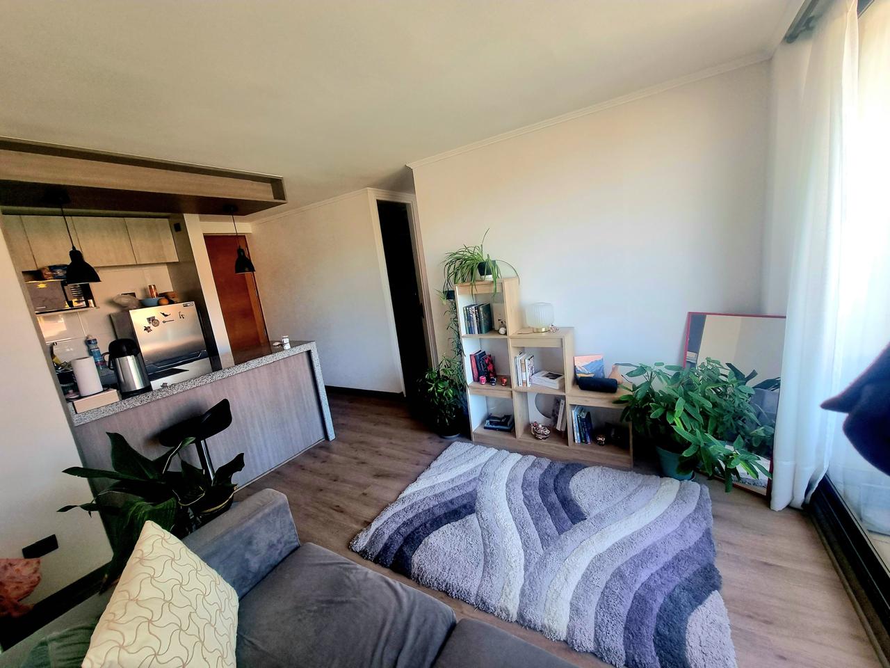 ¡Vive en el corazón de Concepción!